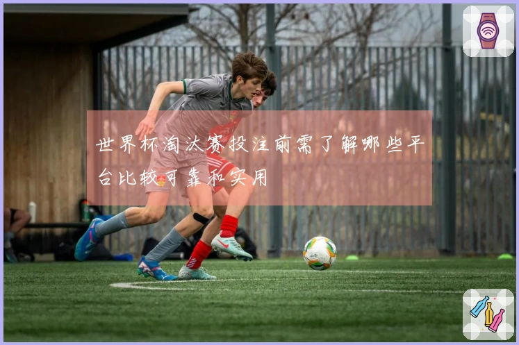 世界杯淘汰赛投注前需了解哪些平台比较可靠和实用