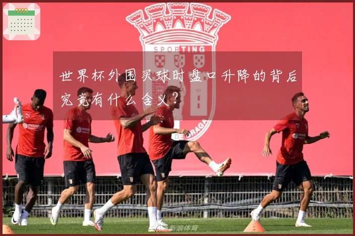 世界杯外围买球时盘口升降的背后究竟有什么含义？