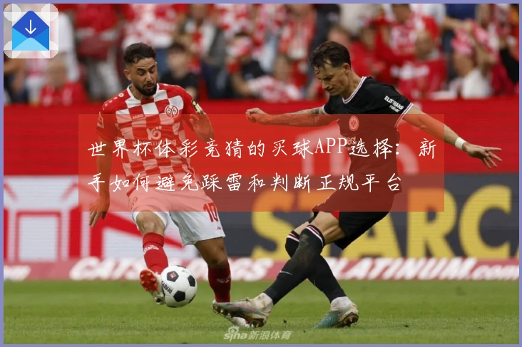 世界杯体彩竞猜的买球APP选择：新手如何避免踩雷和判断正规平台