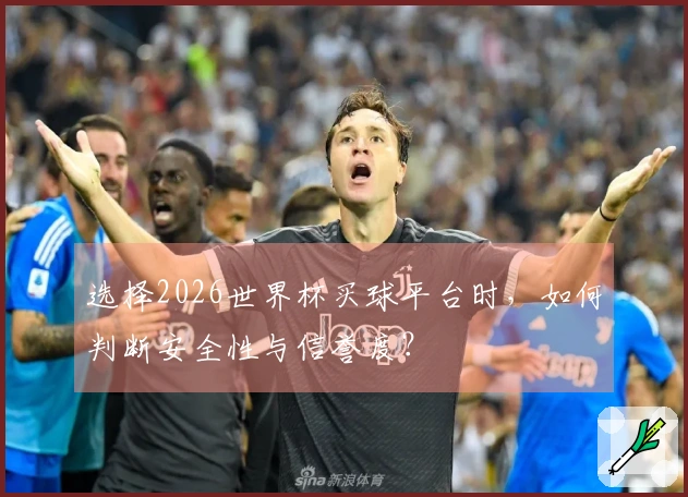 选择2026世界杯买球平台时，如何判断安全性与信誉度？