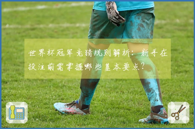 世界杯冠军竞猜规则解析：新手在投注前需掌握哪些基本要点？