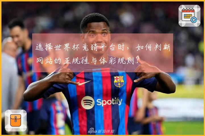 选择世界杯竞猜平台时，如何判断网站的正规性与体彩规则？