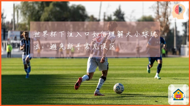 世界杯下注入口如何理解大小球玩法，避免新手常见误区