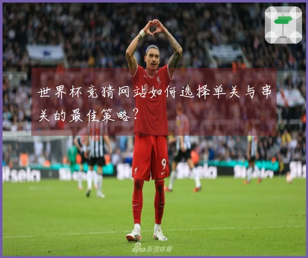 世界杯竞猜网站如何选择单关与串关的最佳策略？