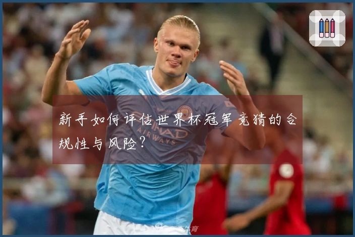 新手如何评估世界杯冠军竞猜的合规性与风险?