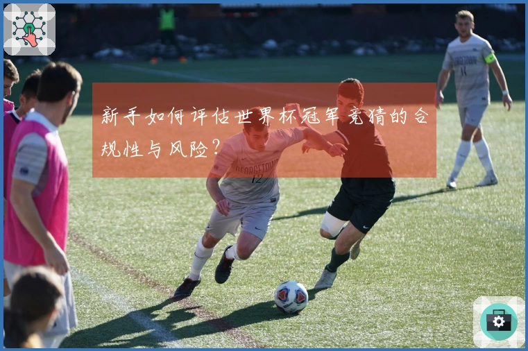 新手如何评估世界杯冠军竞猜的合规性与风险？