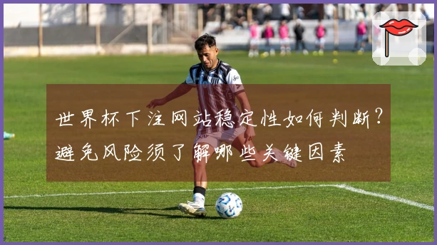 世界杯下注网站稳定性如何判断？避免风险须了解哪些关键因素