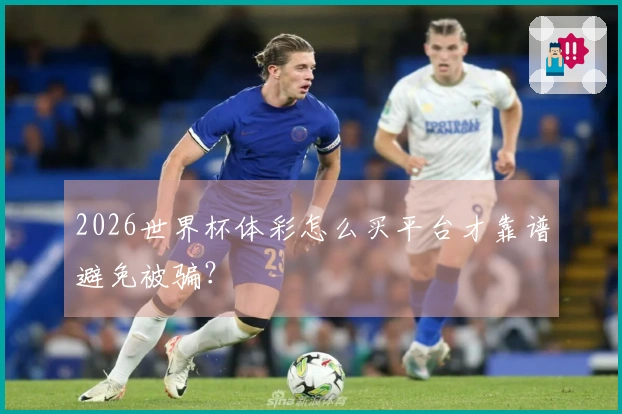2026世界杯体彩怎么买平台才靠谱避免被骗？