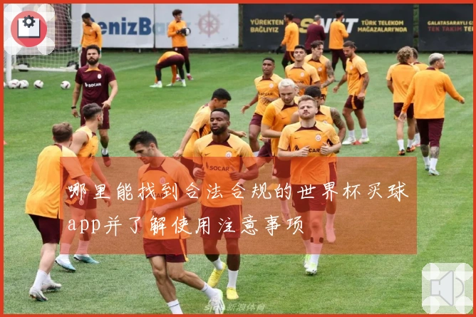 哪里能找到合法合规的世界杯买球app并了解使用注意事项