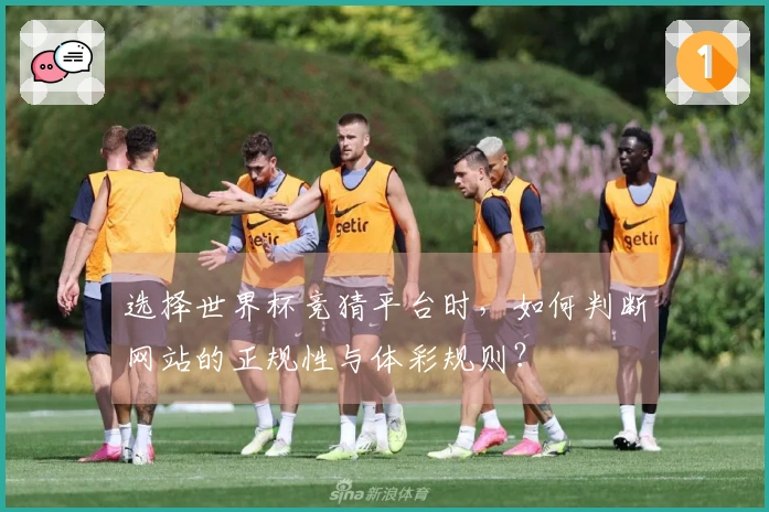 选择世界杯竞猜平台时，如何判断网站的正规性与体彩规则？
