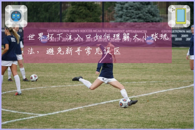 世界杯下注入口如何理解大小球玩法,避免新手常见误区