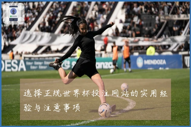 选择正规世界杯投注网站的实用经验与注意事项