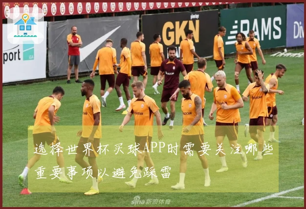 选择世界杯买球APP时需要关注哪些重要事项以避免踩雷