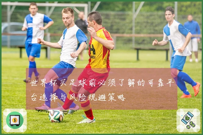 世界杯买足球前必须了解的可靠平台选择与风险规避策略
