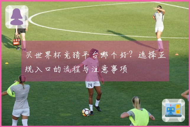 买世界杯竞猜平台哪个好？选择正规入口的流程与注意事项