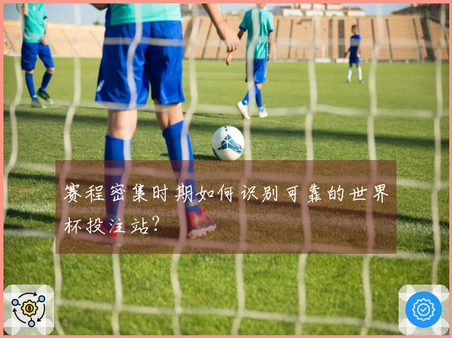 赛程密集时期如何识别可靠的世界杯投注站？
