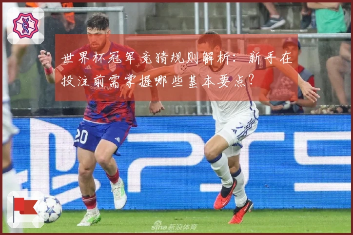 世界杯冠军竞猜规则解析：新手在投注前需掌握哪些基本要点？
